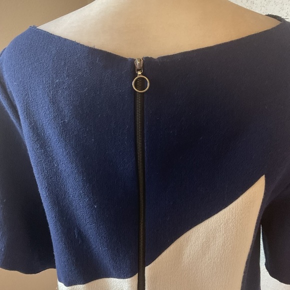 Roksanda Ilincic Blue White Wool Colorblock Sheath Dress Size US 4 - Picture 5 of 14